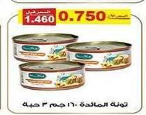 Tuna - Canned available at Al Fintass Cooperative Society  in Kuwait - Kuwait City