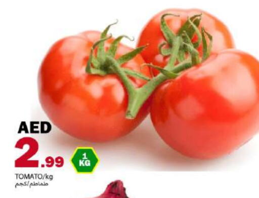 Tomato available at Rawabi Market Ajman in UAE - Sharjah / Ajman