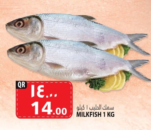 available at Marza Hypermarket in Qatar - Al Daayen