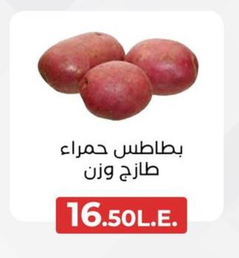 بطاطا available at عرفة ماركت in Egypt - القاهرة