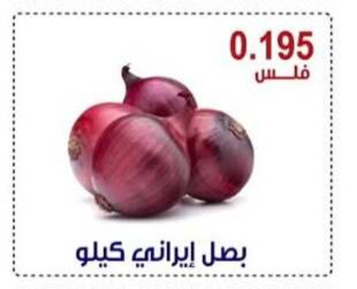 بصل available at جمعية العقيلة التعاونية in الكويت - محافظة الأحمدي