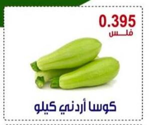 Zucchini available at Egaila Cooperative Society in Kuwait - Ahmadi Governorate