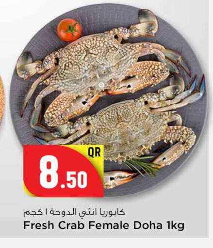 available at سفاري هايبر ماركت in قطر - الريان