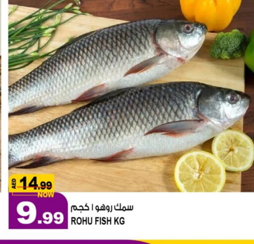 available at Hashim Hypermarket in UAE - Sharjah / Ajman