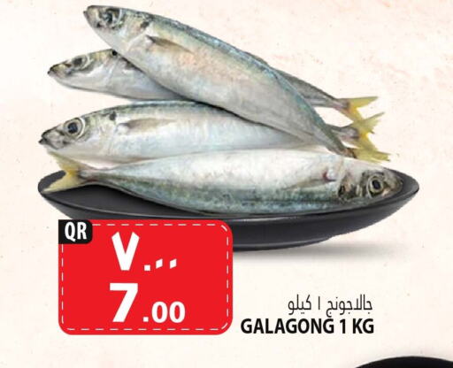 available at Marza Hypermarket in Qatar - Al Daayen