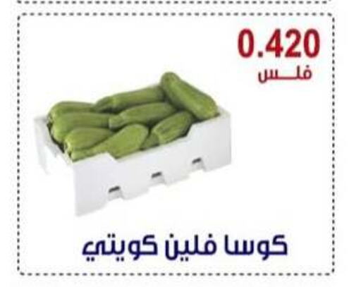 Zucchini available at Egaila Cooperative Society in Kuwait - Ahmadi Governorate