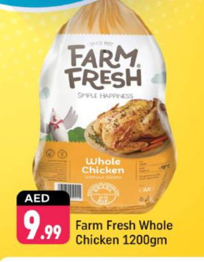 Fresh Whole Chicken available at Shaklan  in UAE - Dubai