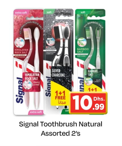 SIGNAL Toothbrush available at Nesto Hypermarket in UAE - Umm al Quwain