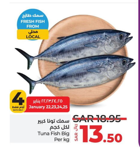 Tuna available at LULU Hypermarket in KSA, Saudi Arabia, Saudi - Qatif