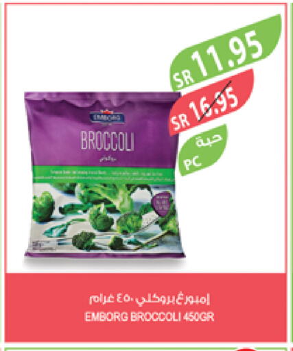 Broccoli available at Farm  in KSA, Saudi Arabia, Saudi - Tabuk