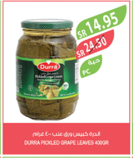 DURRA available at Farm  in KSA, Saudi Arabia, Saudi - Yanbu