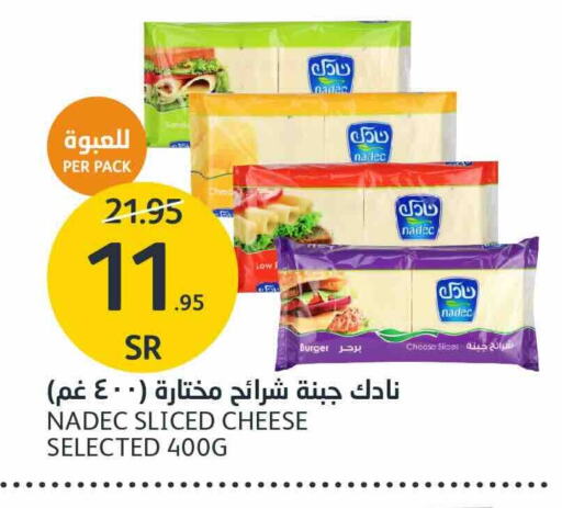 NADEC Slice Cheese available at AlJazera Shopping Center in KSA, Saudi Arabia, Saudi - Riyadh