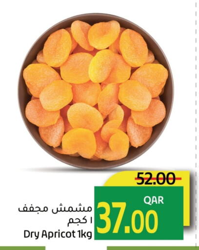 Apricot available at جلف فود سنتر in قطر - الشمال