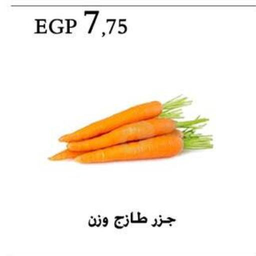 Carrot available at Arafa Market in Egypt - Cairo