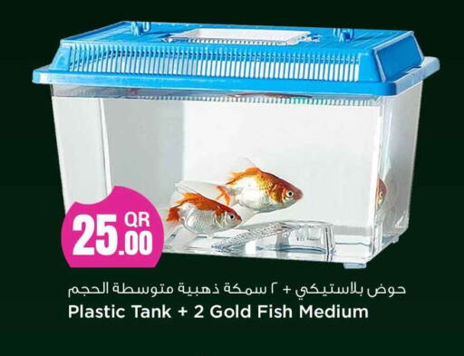 available at Safari Hypermarket in Qatar - Al Daayen