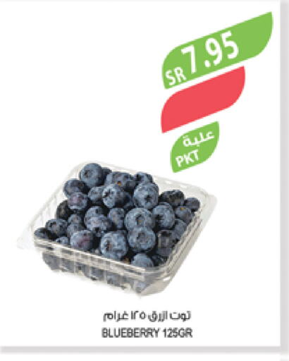 Berries available at Farm  in KSA, Saudi Arabia, Saudi - Najran