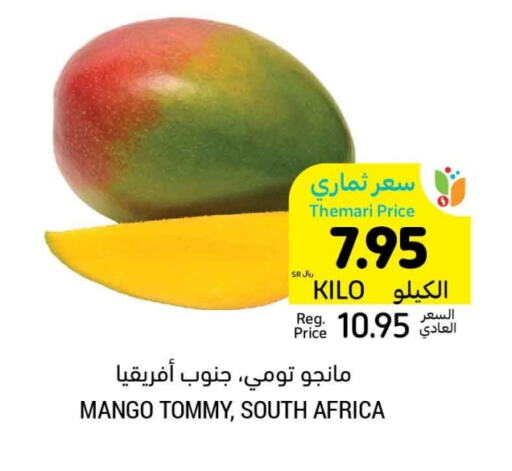 Mangoes from South Africa available at Tamimi Market in KSA, Saudi Arabia, Saudi - Hafar Al Batin