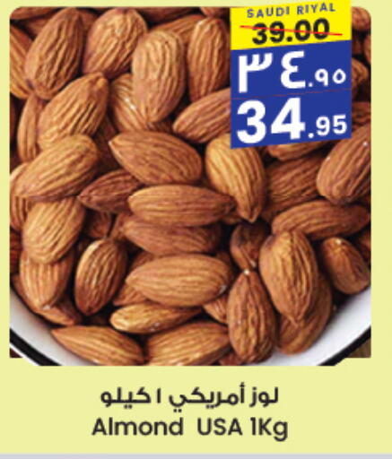 available at City Flower in KSA, Saudi Arabia, Saudi - Sakaka