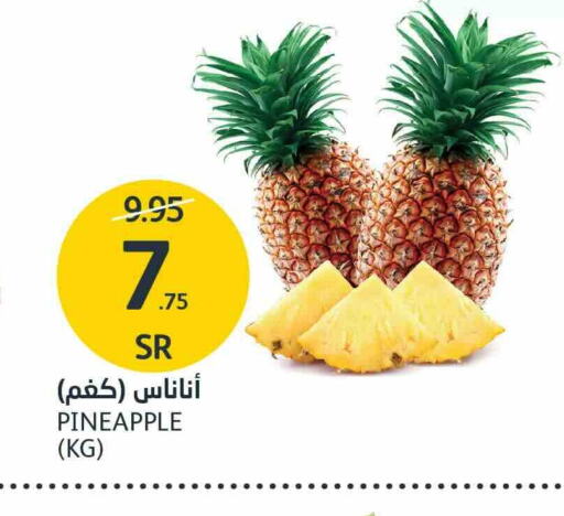 Pineapple available at AlJazera Shopping Center in KSA, Saudi Arabia, Saudi - Riyadh