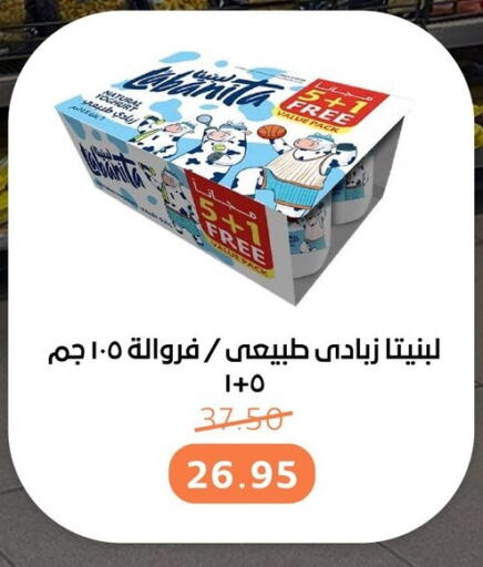 زبادي available at بيت الجملة in Egypt - القاهرة