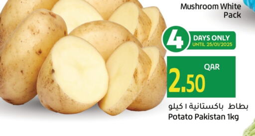 Potato from Pakistan available at Gulf Food Center in Qatar - Umm Salal