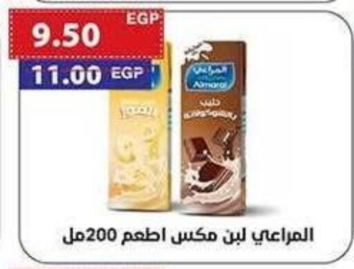 المراعي لبن available at ال لاف ماركت in Egypt - القاهرة