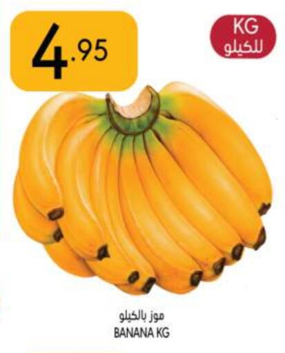 Banana available at Manuel Market in KSA, Saudi Arabia, Saudi - Riyadh