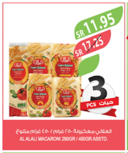 AL ALALI Macaroni available at Farm  in KSA, Saudi Arabia, Saudi - Sakaka