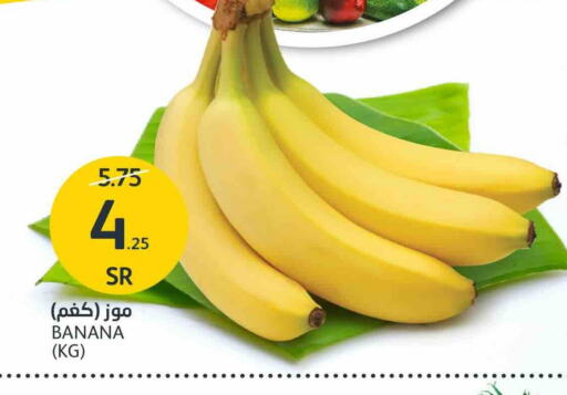 Banana available at AlJazera Shopping Center in KSA, Saudi Arabia, Saudi - Riyadh