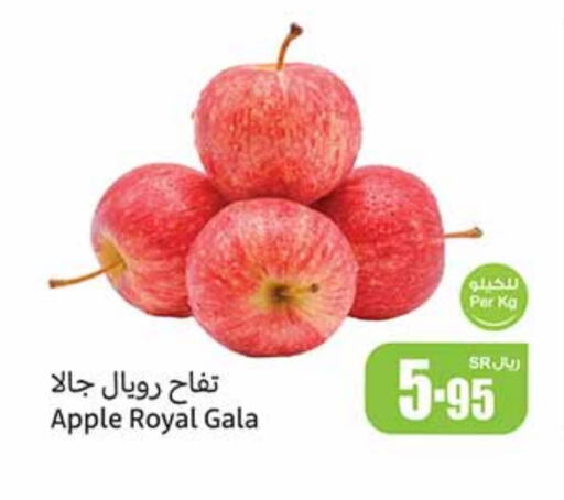 Apples available at Othaim Markets in KSA, Saudi Arabia, Saudi - Al-Kharj