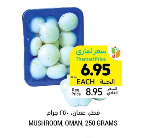 Mushroom from Oman available at Tamimi Market in KSA, Saudi Arabia, Saudi - Unayzah