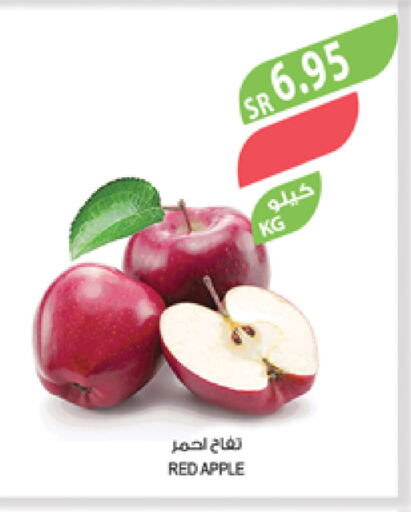 Apples available at Farm  in KSA, Saudi Arabia, Saudi - Najran