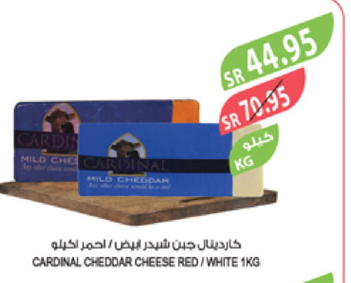 Cheddar Cheese available at Farm  in KSA, Saudi Arabia, Saudi - Jubail