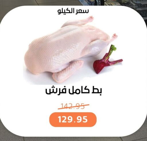 available at بيت الجملة in Egypt - القاهرة