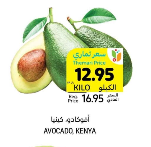 Avacado from Kenya available at Tamimi Market in KSA, Saudi Arabia, Saudi - Dammam