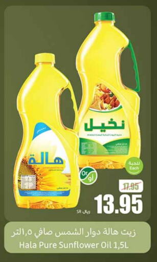 Sunflower Oil available at Othaim Markets in KSA, Saudi Arabia, Saudi - Tabuk