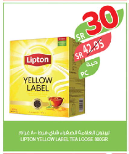 Lipton Tea Powder available at Farm  in KSA, Saudi Arabia, Saudi - Jazan