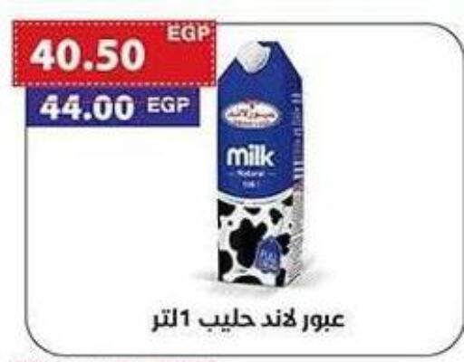 available at ال لاف ماركت in Egypt - القاهرة