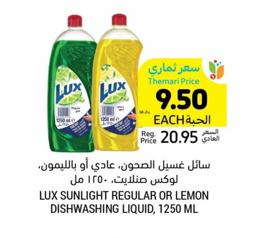 Lemon available at Tamimi Market in KSA, Saudi Arabia, Saudi - Unayzah