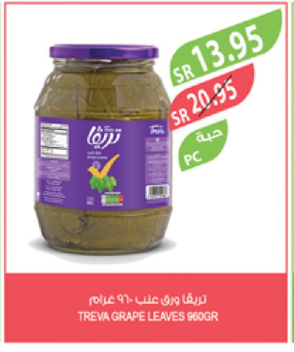 available at Farm  in KSA, Saudi Arabia, Saudi - Yanbu