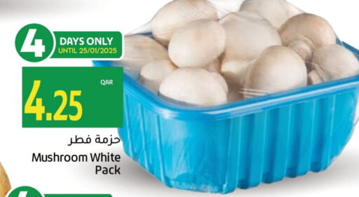 Mushroom available at Gulf Food Center in Qatar - Umm Salal