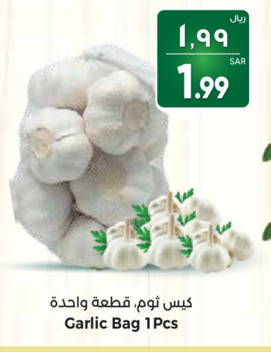 Garlic available at City Flower in KSA, Saudi Arabia, Saudi - Hail