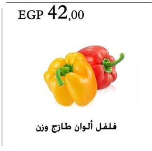 Chilli / Capsicum available at Arafa Market in Egypt - Cairo