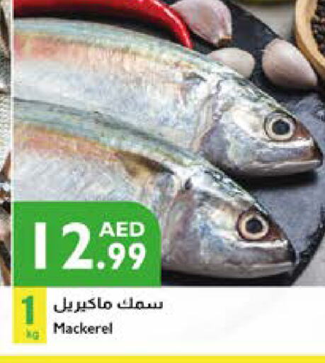 available at Istanbul Supermarket in UAE - Ras al Khaimah