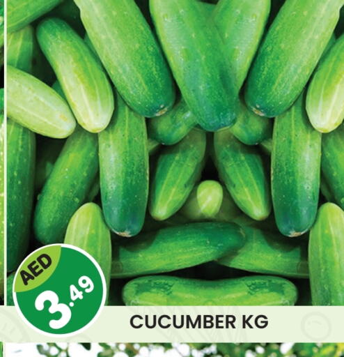 Cucumber available at Baniyas Spike  in UAE - Sharjah / Ajman