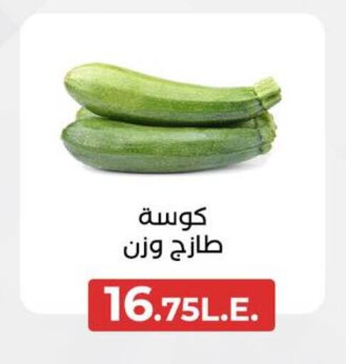 Zucchini available at Arafa Market in Egypt - Cairo