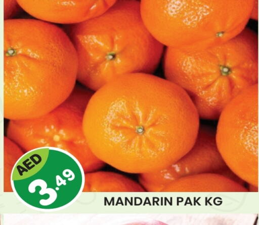 Orange available at Baniyas Spike  in UAE - Al Ain