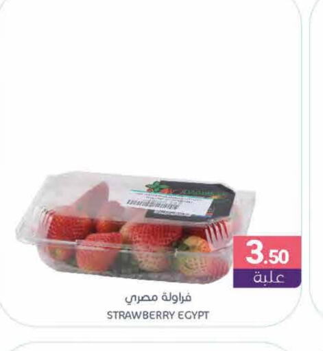 Strawberry from Egypt available at اسواق المنتزه in مملكة العربية السعودية, السعودية, سعودية - سيهات