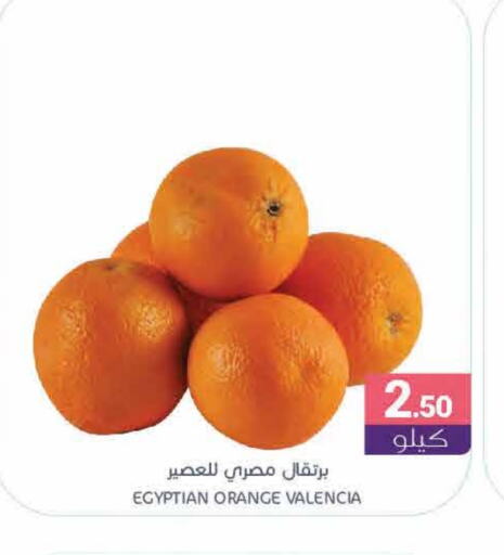 برتقال from Egypt available at اسواق المنتزه in مملكة العربية السعودية, السعودية, سعودية - القطيف‎