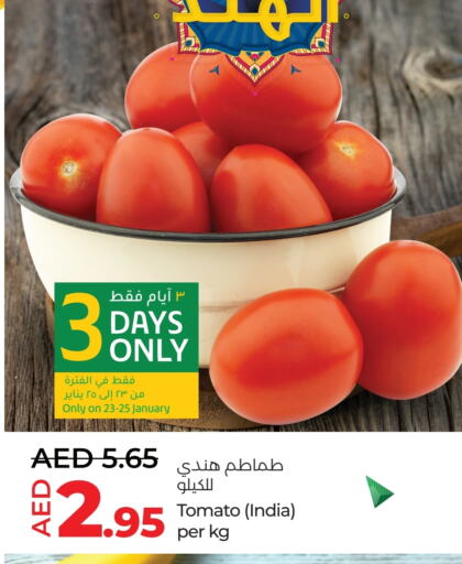 Tomato from India available at Lulu Hypermarket in UAE - Abu Dhabi